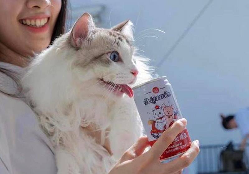 Khẩu vị của chó mèo khác con người, do đó, thang đo về chất lượng, độ tươi ngon hay hàm lượng dinh dưỡng trong thức ăn cũng khác nhau. Ảnh: 163.