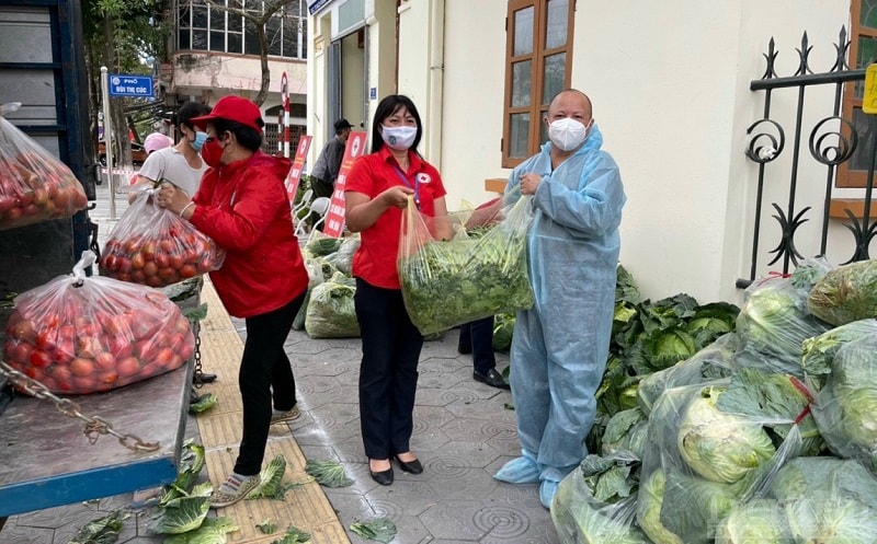 Thu hoạch nông sản tại Tứ Kỳ - Hải Dương