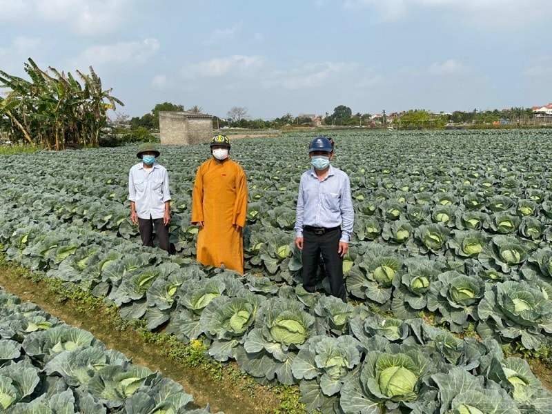 Những năm gần đây, Hải Dương chú trọng xây dựng thương hiệu cho các sản phẩm nông nghiệp và nỗ lực để mở rộng thị trường xuất khẩu.