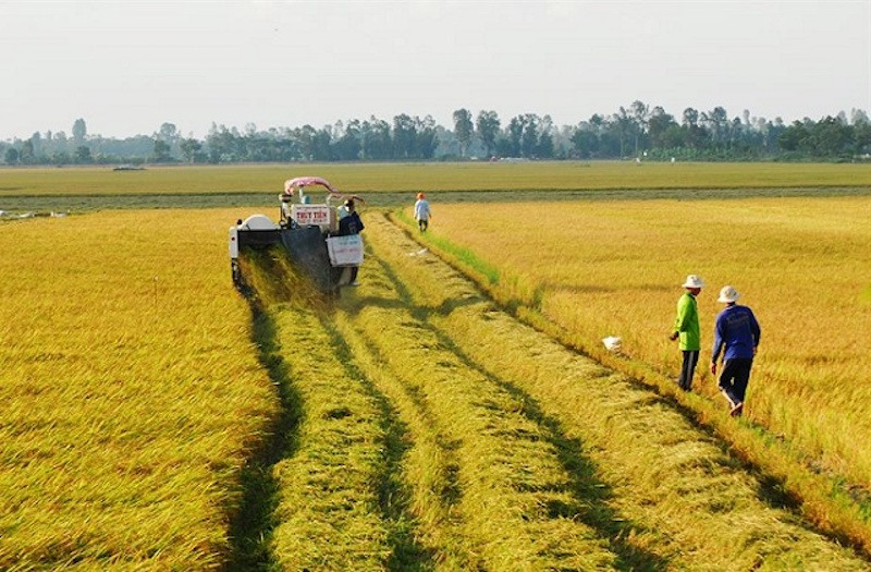 Quy hoạch vùng đồng bằng sông Cửu Long thời kỳ 2021-2030, tầm nhìn đến năm 2050 đã xác định, đến năm 2030, phát triển vùng đồng bằng sông Cửu Long trở thành trung tâm kinh tế nông nghiệp bền vững