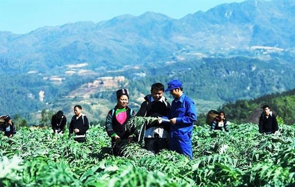 Các cơ quan có liên quan rà soát, cơ cấu lại đất đai, hoàn thành việc giao đất, giao rừng, khoán bảo vệ rừng cho nhân dân, nhất là đồng bào dân tộc thiểu số tại chỗ, tạo điều kiện ổn định và cải thiện đời sống cho nhân dân.