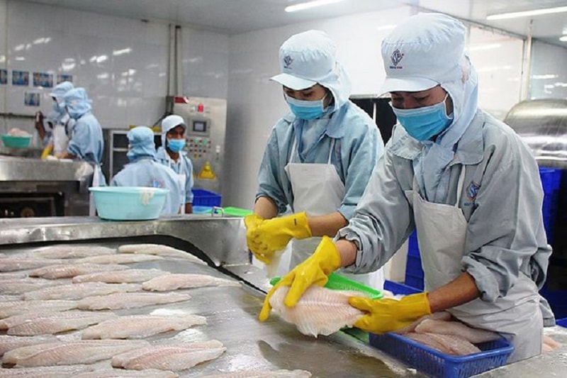 Với hàng loạt các chi phí phát sinh đã có, thêm chi phí cảng biển, các doanh nghiệp thủy sản không khỏi lắng - Ảnh minh họa