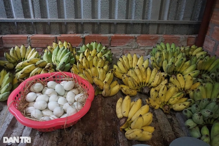 Thức ăn cho chồn là chuối, cháo, bổ sung thêm trứng vịt lộn, không tốn nhiều chi phí (Ảnh: Nguyễn Cường).