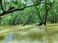 Hải Phòng lên kế hoạch 