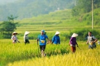 Hiệp hội Du lịch Thanh Hóa: Liên kết cùng đưa du lịch 