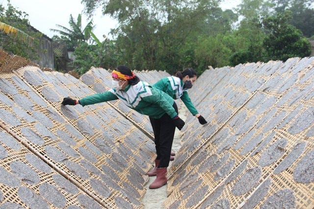 Ngoài thị trường Nhật Bản, Hợp tác xã Nguyên Lâm đang nhắm đến những thị trường khác như Đài Loan, Hàn Quốc và một số nước châu Âu