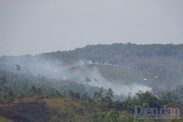 4.Một địa điểm trước nông trại Ê Ban đang bị người dân đốt cây rừng làm nương rẫy.