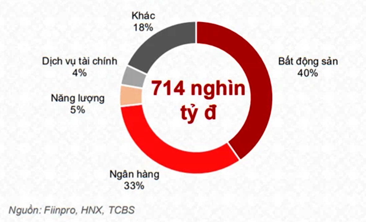 p/Biểu đồ cơ cấu phát hành trái phiếu đầu năm 2022