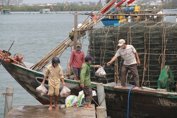 Hoạt động của ngư dân gặp nhiều khó khăn, doanh thu bị giảm sút và khó có chi phí để duy tu phương tiện.