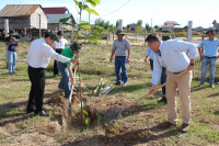 COVID-19: Liều thuốc thử cho sự phấn đấu về phát triển bền vững