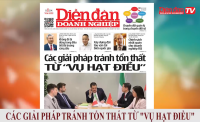 ĐIỂM BÁO NGÀY 18/03: Các giải pháp tránh tổn thất từ “vụ hạt điều”