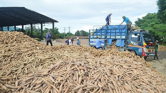 chính sách thuế hiện hành đã có những quy định ưu đãi trong lĩnh vực nông nghiệp