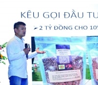 Gọi vốn đầu tư