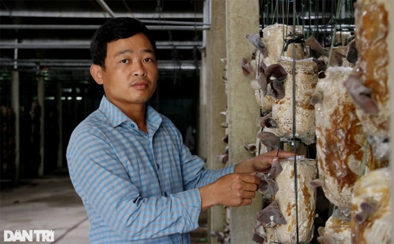 Với cách làm bài bản, đầu tư khoa học công nghệ, từ năm 2018 đến nay, mô hình trồng nấm của anh đã đi vào ổn định và cho thu nhập ngày càng cao.