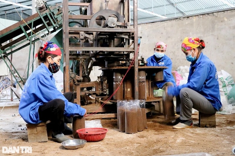 Hiện có 12 công nhân đang làm việc tại mô hình trồng nấm của anh Cường với thu nhập từ 4-4,5 triệu đồng/người/tháng.