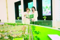 Thích nghip/trong kinh doanhp/bất động sản