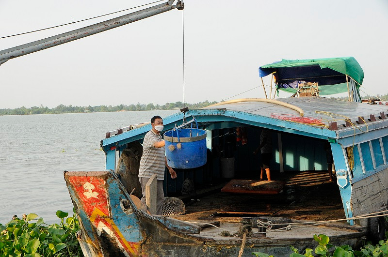 Một chiếc tàu cá cập bến, chuyển cá vào nhà máy