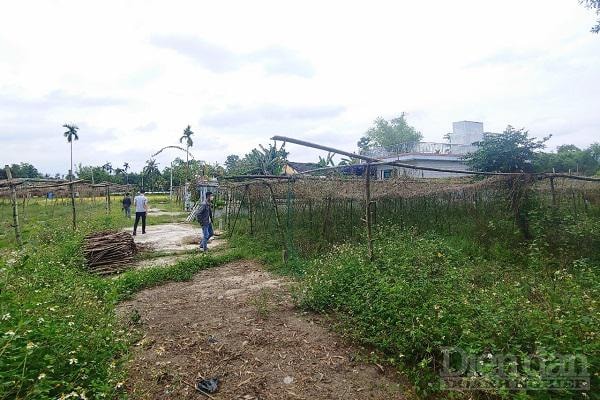 Các khu đất vùng ven được rao với giá hàng tỷ đồng kèm lời khẳng định chắc chắn sinh lợi khi mua đầu tư.