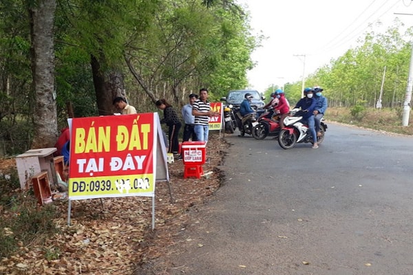 Cò đất và người dân 