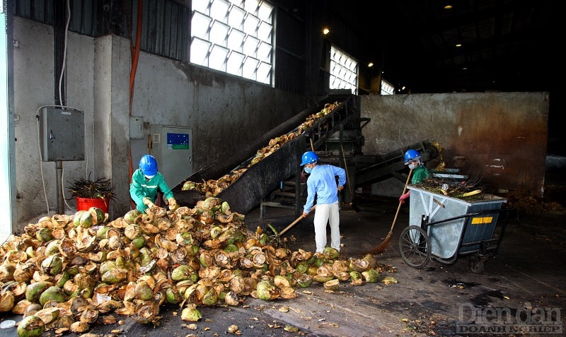 Công nhân làm việc tại nhà máy xử lý chất thải tại Khu xử lý chất thải rắn Tràng Cát