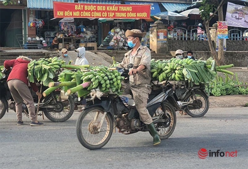 Người dân vùng biên Quảng Trị chở chuối đi bán trên QL9.