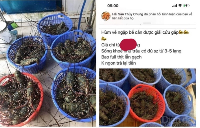 Một tài khoản facebook chào bán hàng giá rẻ rồi lừa chiếm dụng tiền đặt cọc