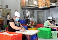 Khởi nghiệp với bánh tráng bò bía