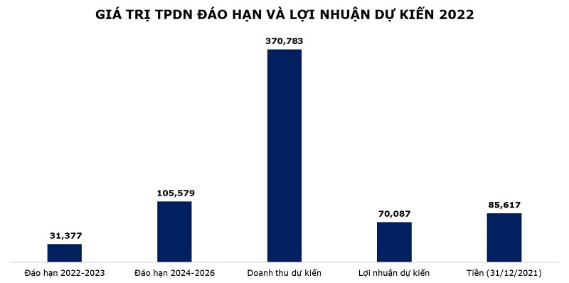 Nguồn: BCTC các DN, FIDT tổng hợp