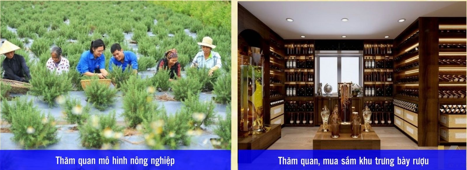 Du lịch tham quan, tìm hiểu và trải nghiệm tại các du lịch lịch sử văn hóa kết hợp du lịch nghỉ dưỡng, tham quan, khám phá và trải nghiệm làng quê kết hợp vui chơi giải trí