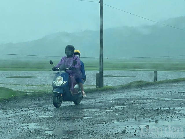 Mặt đường nhựa bị nứt, bong tróc thành từng mảng lớn tạo ra hàng trăm “ổ gà, ổ voi” nguy hiểm. Đặc biệt tại đây có những đoạn bị lún sâu từ 20-30cm khiến phương tiện giao thông đi lại rất khó khăn.