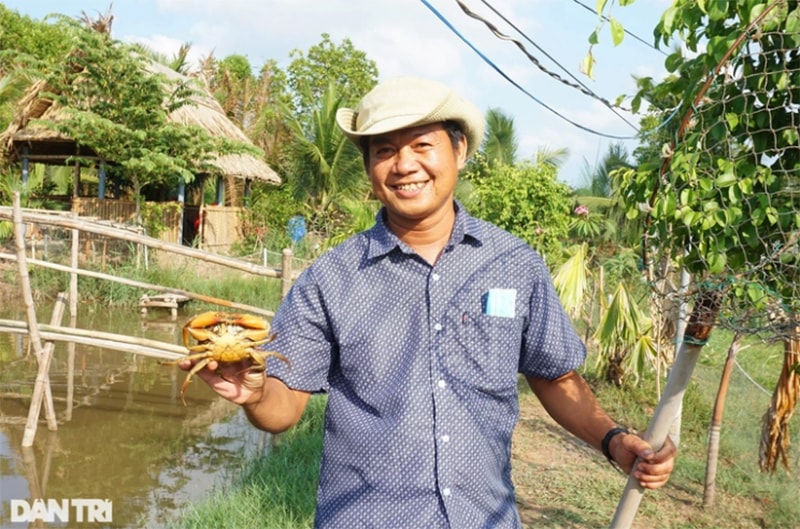 Cua sót lại sẽ được anh Bình gom vào một ao cho khách câu dịch vụ (Ảnh: Nguyễn Cường).