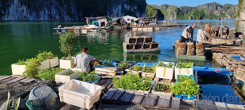 Lãnh đạo phải chạy đua với thời gian trước hội nghị của UNESCO phải di dời xong để được công nhận