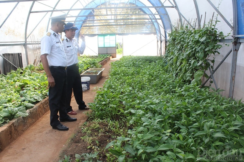 Trường Sa của ngày hôm nay được là thành quả của bao sự hi sinh xương máu và nước mắt, sự chắt chiu hàng ngàn ngày công lao động