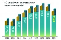 Phát triển kinh tế tư nhân phải là chính sách chấn hưng dân tộc