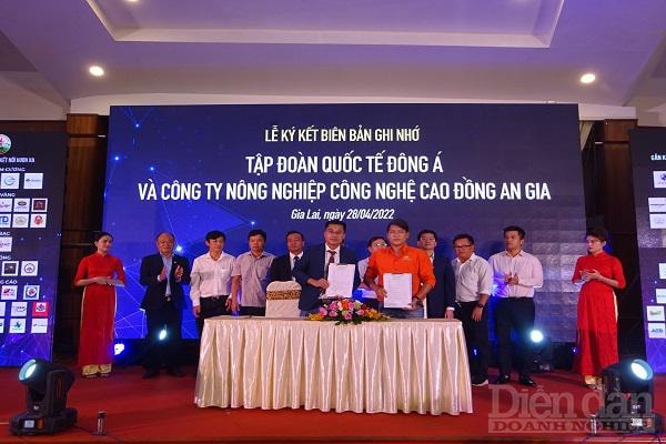 1.Doanh nghiệp trẻ Hà Nội ký biên bản ghi nhớ hợp tác cùng đối tác Gia Lai.