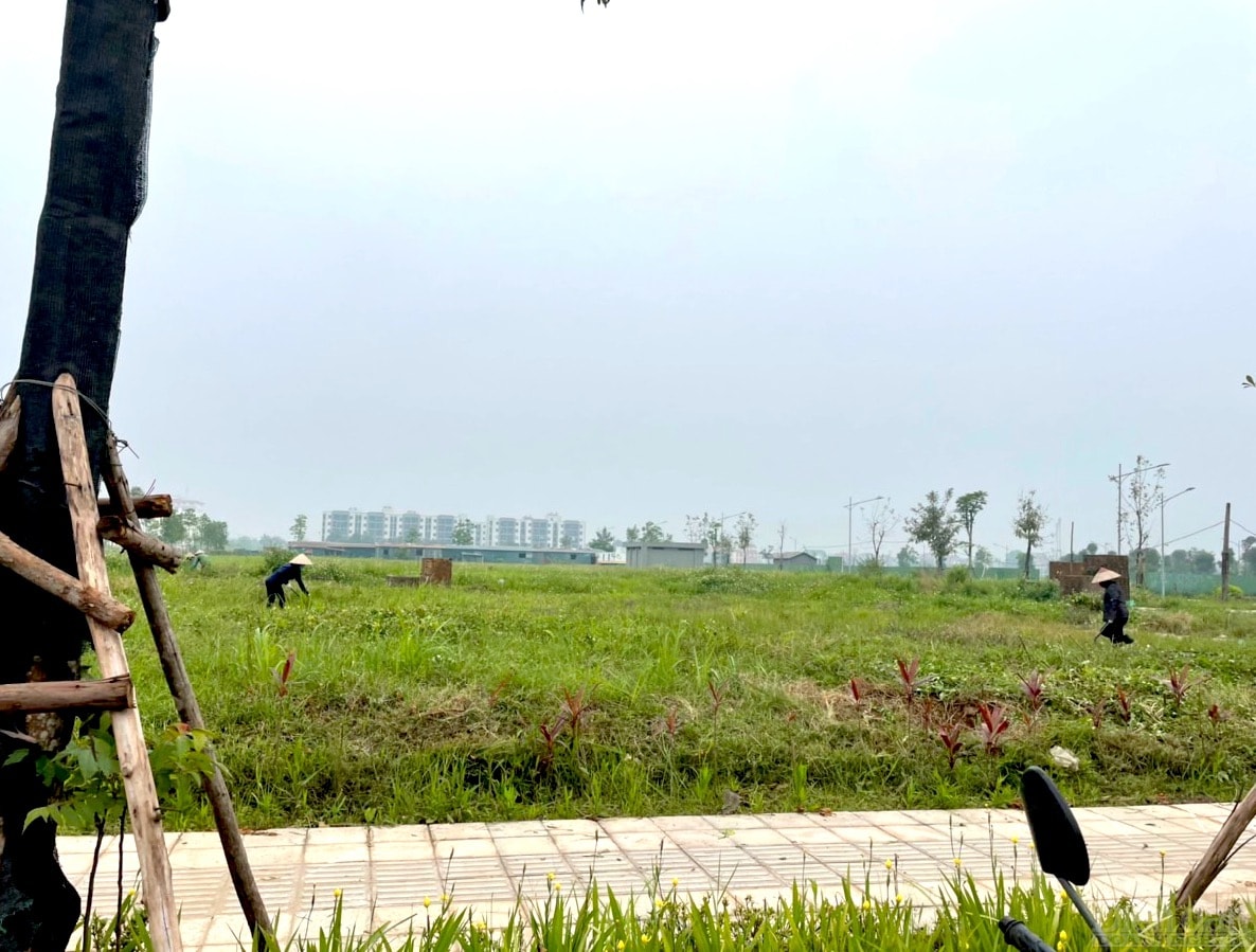 Các lô đất nền tại dự án được rao bán tràn lan 