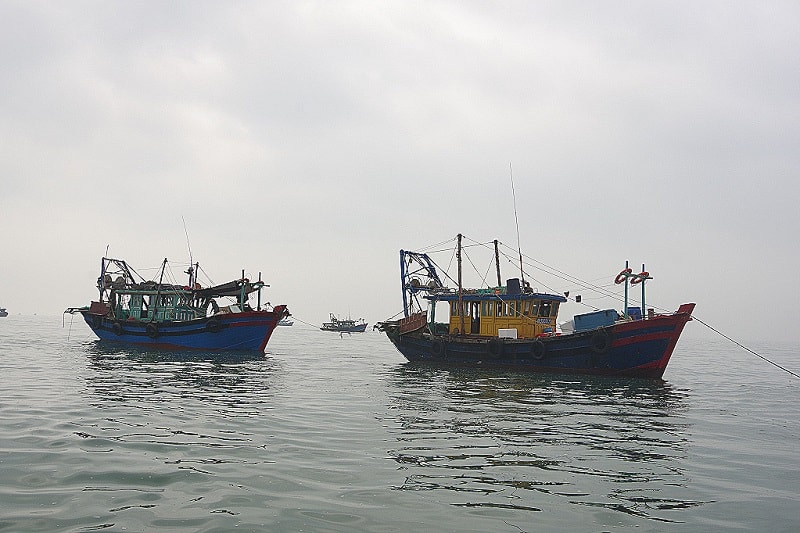 TP Móng Cái, Đội tuần tra kiểm soát của Đồn Biên phòng Trà Cổ, Bộ đội Biên phòng tỉnh Quảng Ninh, trong khi làm nhiệm vụ tuần tra bảo vệ biên giới, vùng biển đã phát hiện, bắt giữ tàu vỏ gỗ BKS QN 50024-TS lắp máy 176,52 CV do Vũ Văn Tiến, sinh năm 1981, trú tại phường Phong Hải, TX Quảng Yên, tỉnh Quảng Ninh, điều khiển, đồng thời là chủ phương tiện cùng hai thuyền viên đang hành trình từ đảo Trần vào vùng biển Trà Cổ; kiểm tra phương tiện phát hiện một bộ kích điện và 20m dây điện.