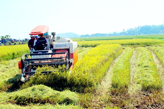 Nhiều địa phương đã áp dụng khoa học kỹ thuật vào nông nghiệp, giảm sức lao động cho người nông dân. Ảnh minh họa:kinhtedothi.vn.