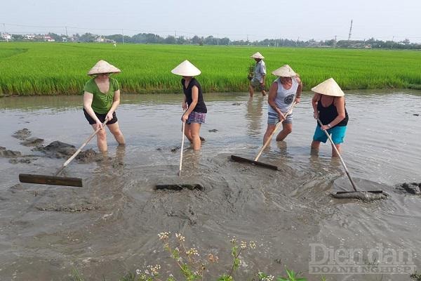 Cùng với đó, địa phương này đang định hướng các doanh nghiệp xây dựng các sản phẩm du lịch xanh, bền vững