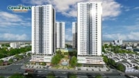 Vì sao SSN mất khả năng thanh toán?