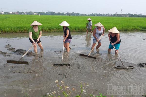 Với lợi thế là địa phương đăng cai Năm du lịch Quốc gia 2022 và định hướng du lịch xanh, tỉnh Quảng Nam nhận được nhiều sự quan tâm liên kết của những địa phương khác.