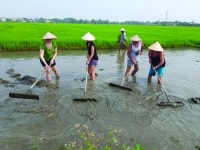 Quảng Nam -p/Đà Nẵng liên kết phát triển du lịch