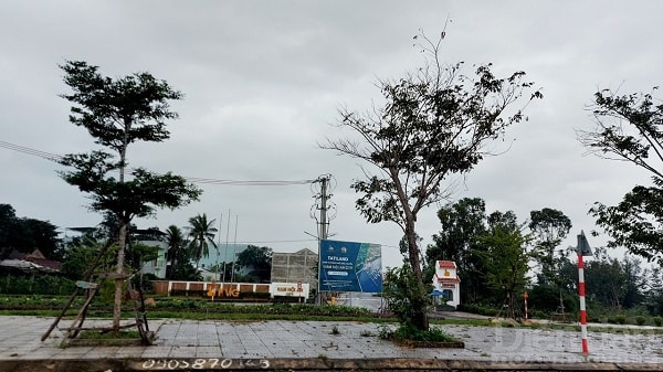 Hiện chủ đầu tư FVG đang sở hữu nhiều dự án đắc địa trên địa bàn tỉnh Quảng Nam.