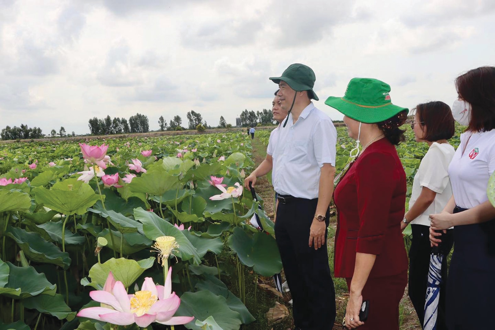  Chủ tịch UBND tỉnh Đồng Tháp Phạm Thiện Nghĩa khảo sát vùng trồng sen tại huyện Tháp Mười