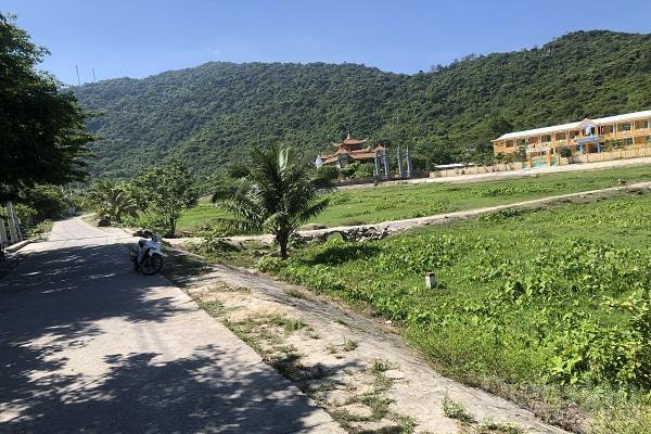 Nhiều diện tích đất ở, đất trồng cây lâu năm, đất sản xuất…được ghi là đất thổ cư.