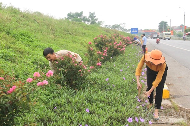 Mô hình con đường hoa nối liền các xã đến trung tâm huyện