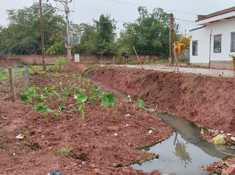 Các hộ dân trực tiếp xả ra môi trường ngay sát khu dân cư, gây ô nhiễm