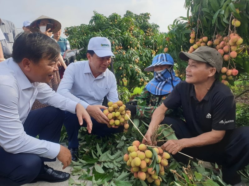 Các lãnh đạo và đại biểu thăm vườn Vải 