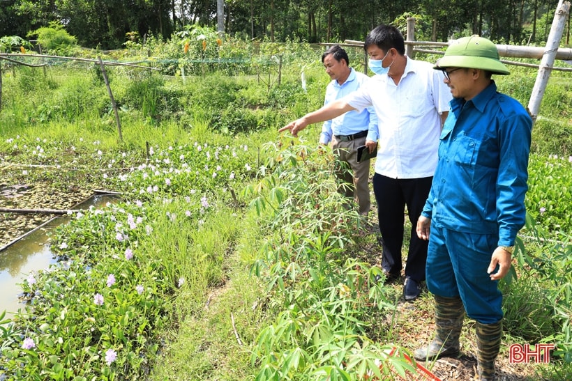 Cán bộ Hội Nông dân huyện Can Lộc tham quan mô hình nuôi ốc bươu đen của anh Phạm Viết Sỹ