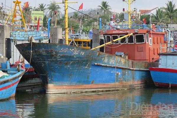 Con tàu vỏ thép của ngư dân Trần Văn Liên, (xã Bình Minh, huyện Thăng Bình, QN) chưa một lần ra khơi đã đưa gia đình ông Liên vào cảnh khốn cùng hơn nửa thập kỷ qua.